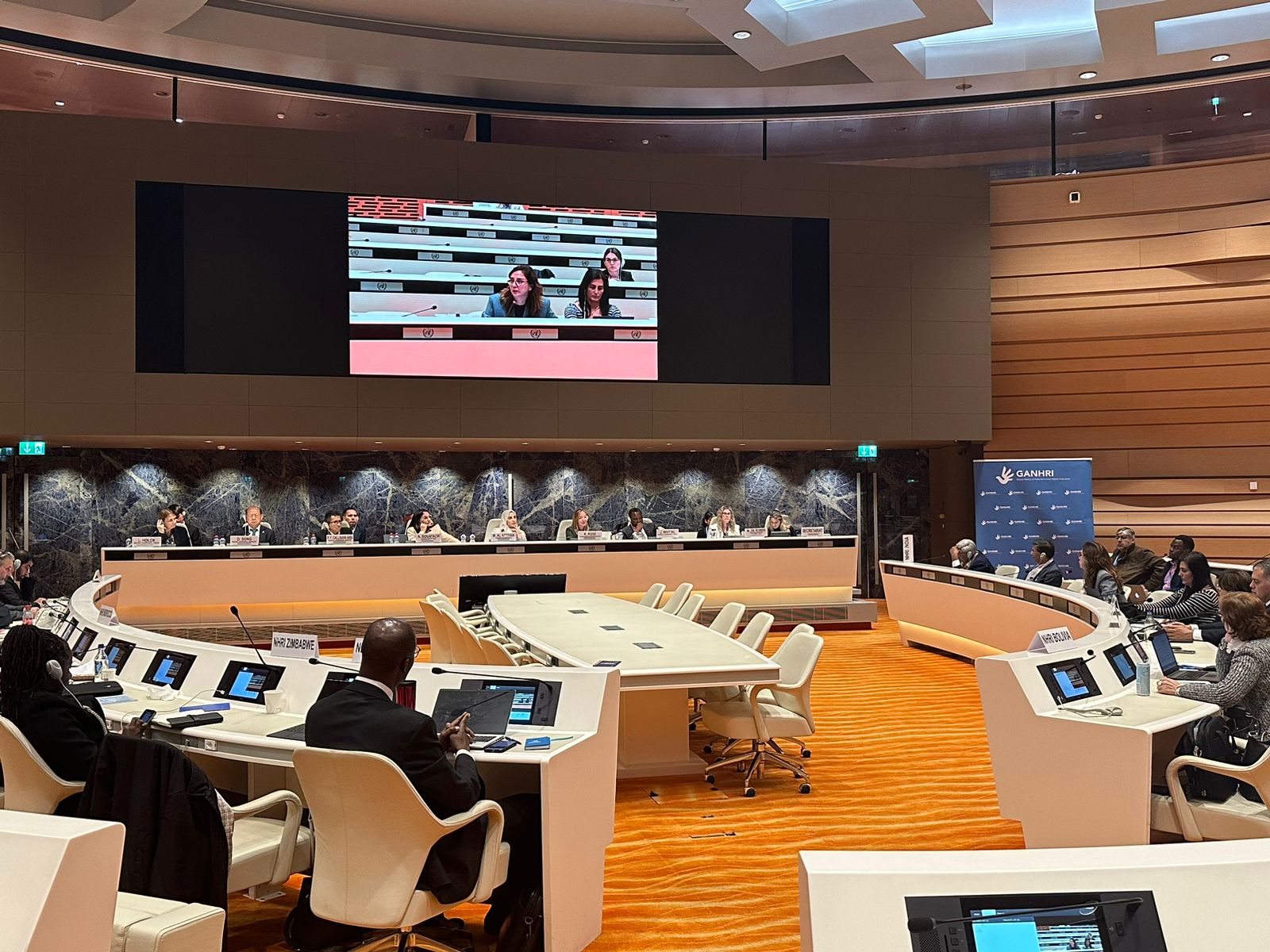 Gjenevë, Mbahet Konferenca Vjetore E Aleancës Globale Të Institucioneve Të Të D…