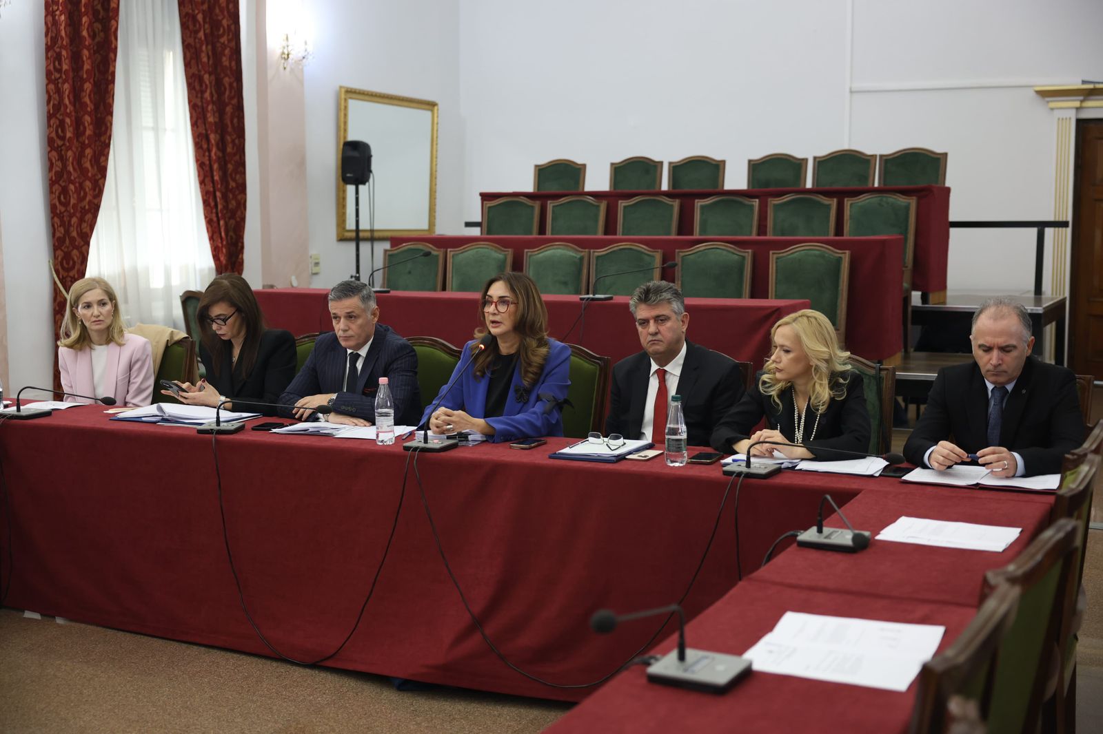 The Ombudsman At The Public Hearing On The Annual Activity Report For 2024