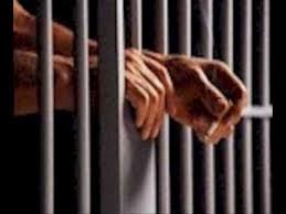 Rekomandime drejtuar sistemit te  burgjeve 2014